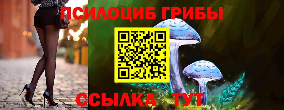 закладка  Псилоцибиновые грибы MAGIC MUSHROOMS  Вход с VPN  Волжский  Галлюциногенные грибы прущие грибы 
